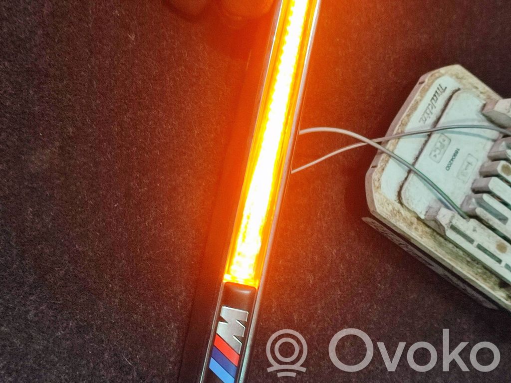 BMW X5M E70 Seitenblinker 