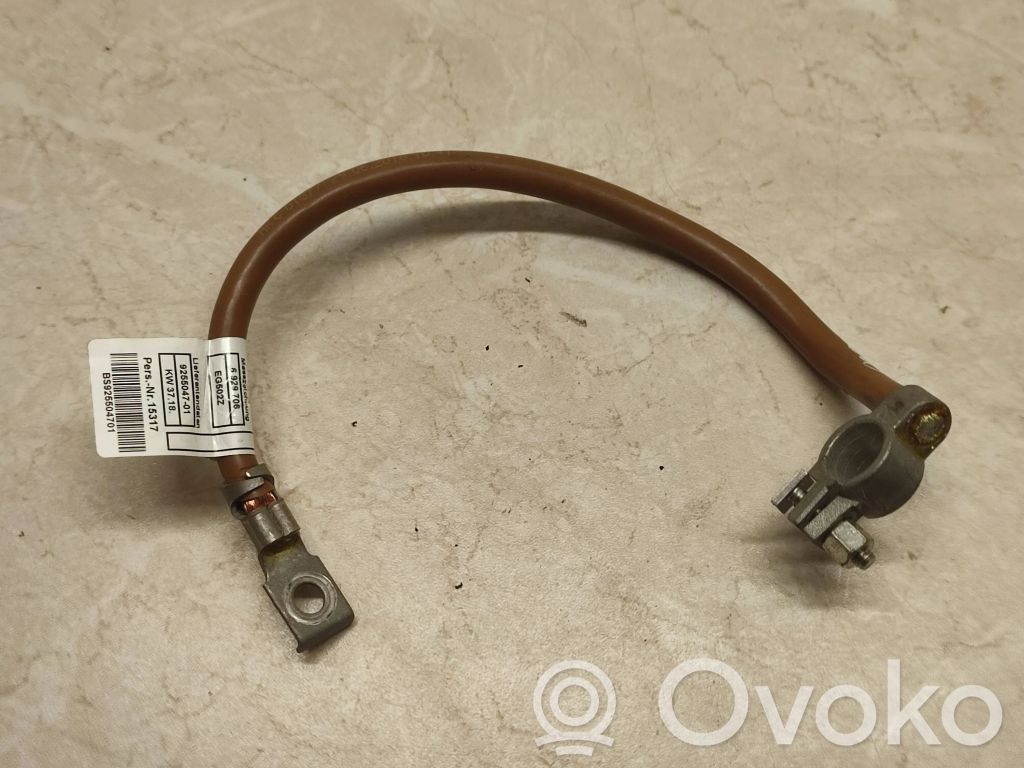 BMW 7 F01 F02 F03 F04 Negative earth cable (battery) 