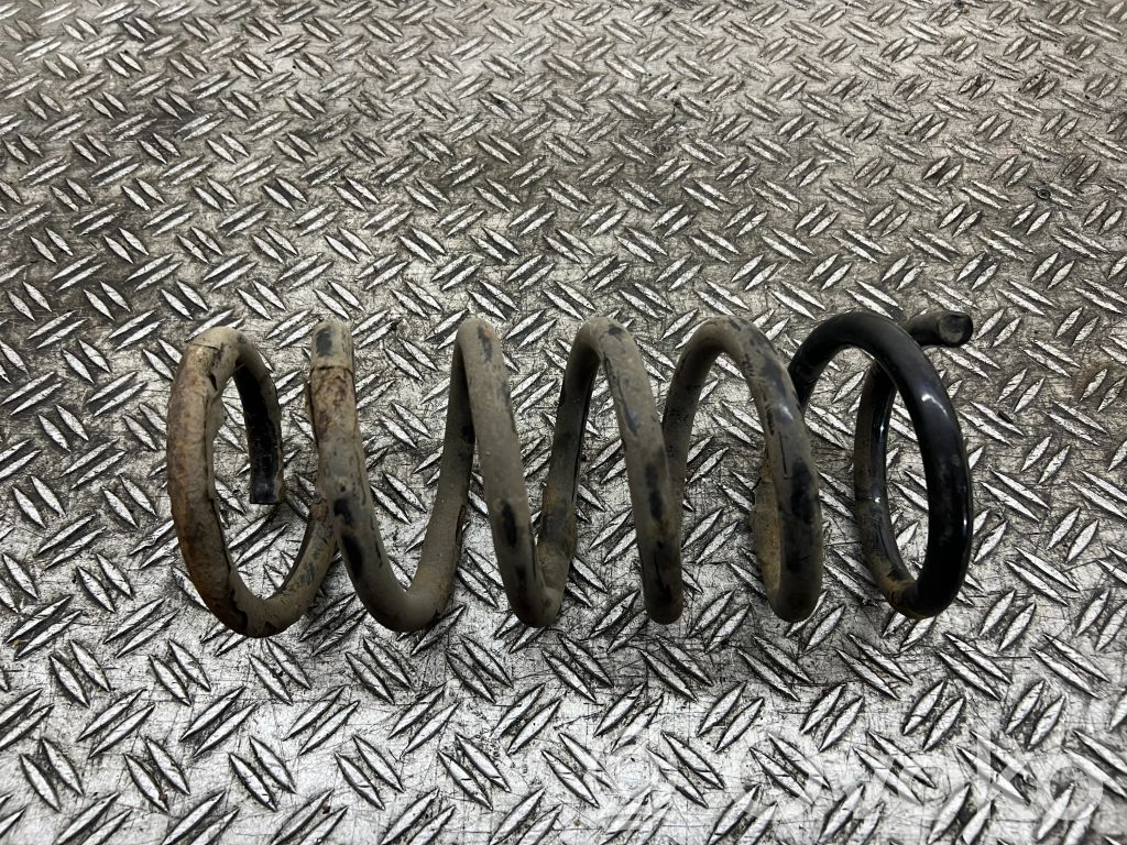 Rear coil spring