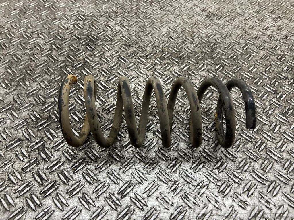 Rear coil spring