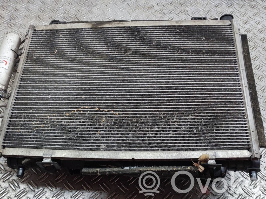 Ford Ecosport Radiatorių komplektas 