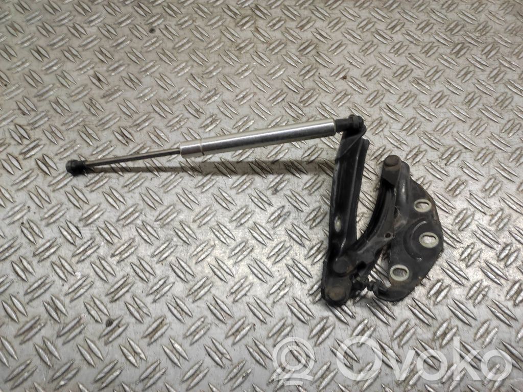 Volkswagen Phaeton Cerniere del vano motore/cofano 
