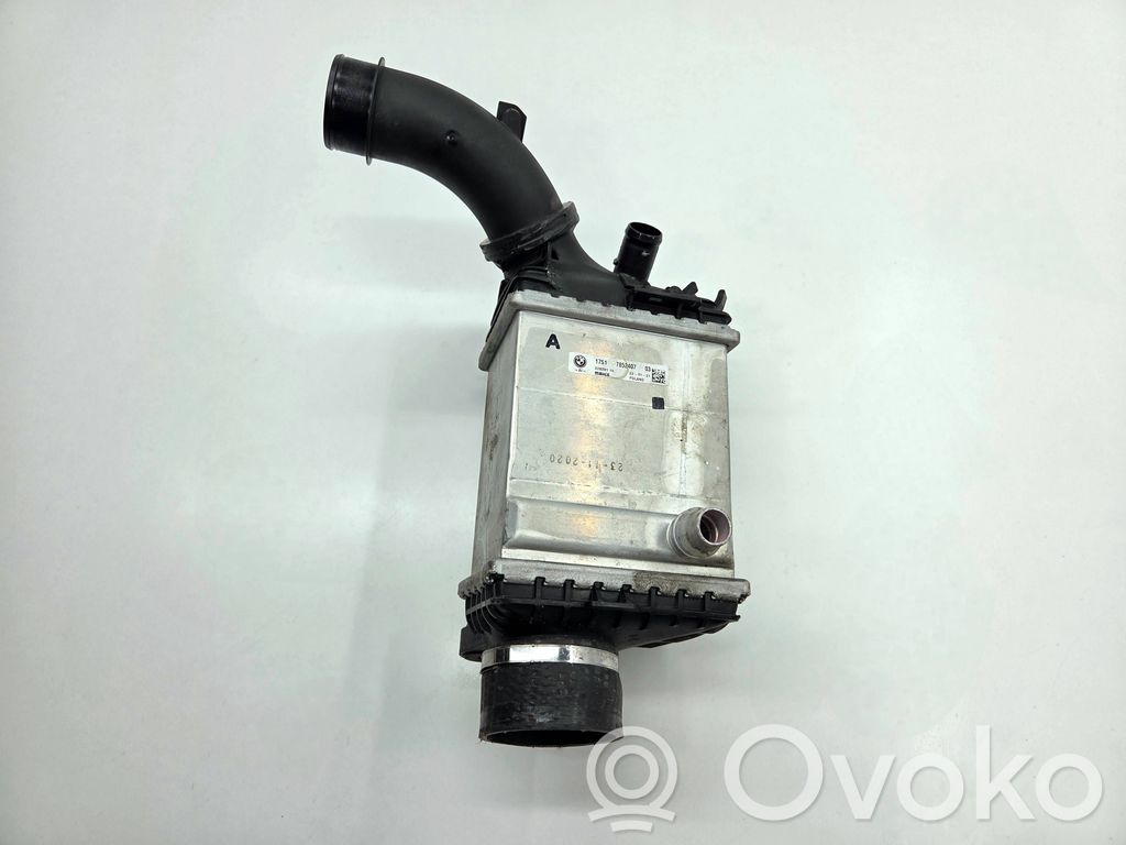 Chłodnica powietrza doładowującego / Intercooler   7852407,17517852407,8644433,13628644433,17127856956,7856956