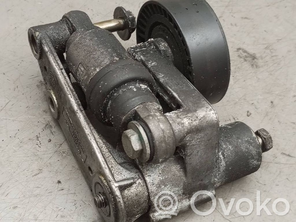 BMW 3 E46 Tensor de correa del alternador 
