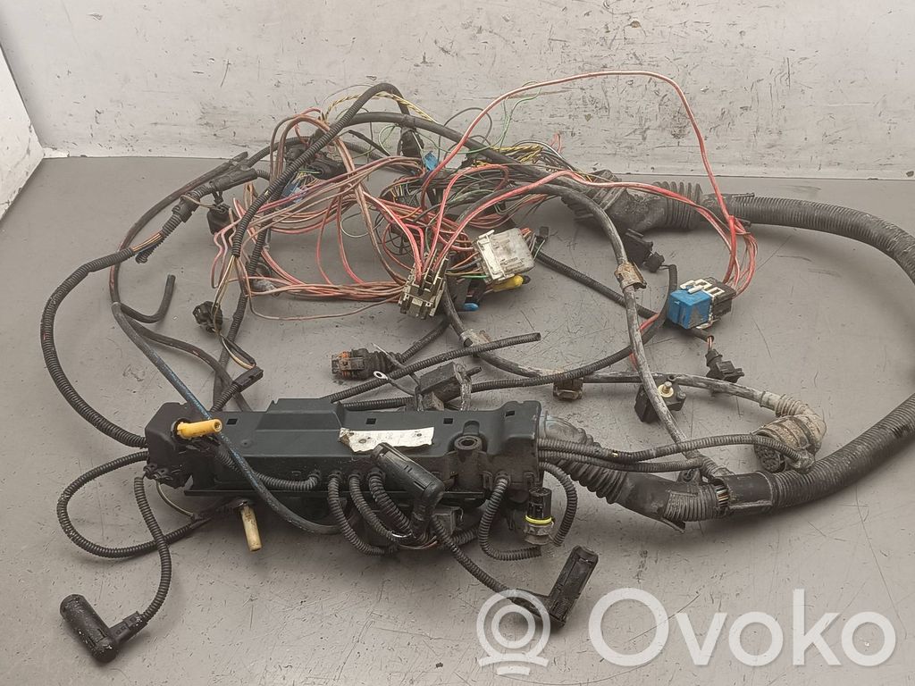 Engine installation wiring loom   1436030,2247148
