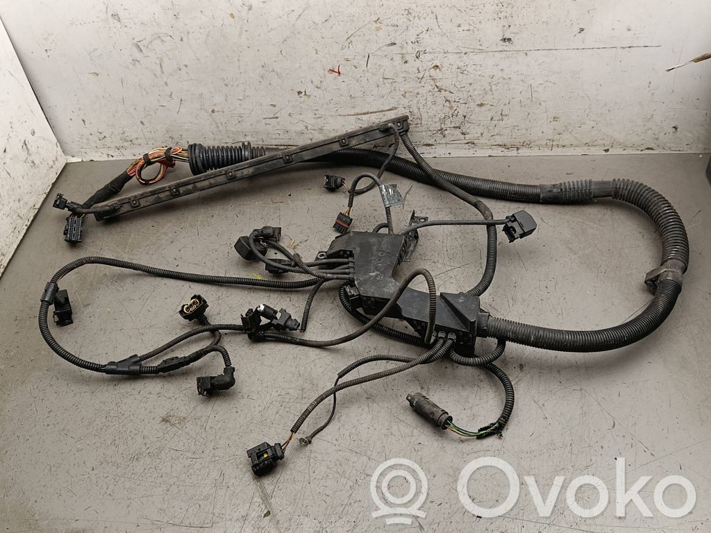 Engine installation wiring loom   7529696,7503059