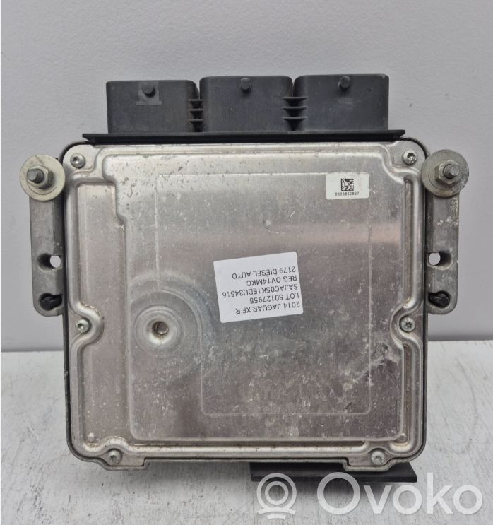 Engine control unit/module   EX2312C520,EX2312C520,EX2312C520,EX2312C520