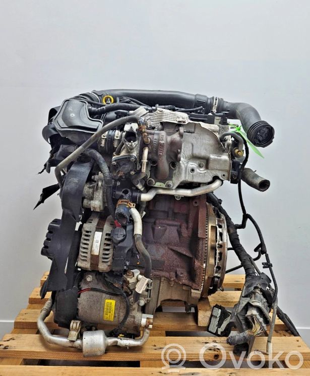 Ford Fiesta Variklis 