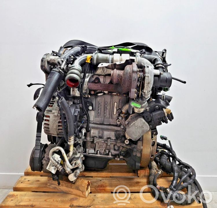 Silnik   C16DSOX,C16DSOX,RMAV6Q6006BA,1733055,1850520,1854209,AV6Q6006AA,RMAV6Q6006BA,SVAV6Q6006AA,SVAV6Q6006BA,T1DB