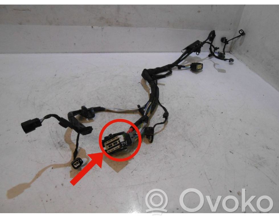 Ford Puma Cableado de instalación del motor 