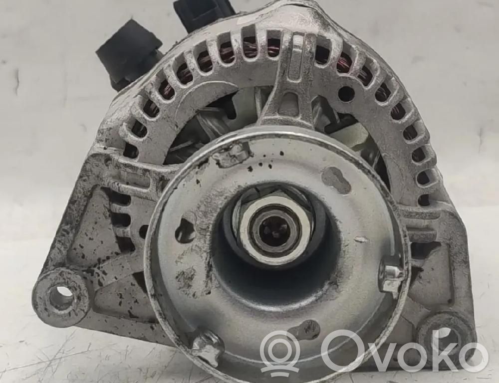 Generatore/alternatore   1307487,301475RI