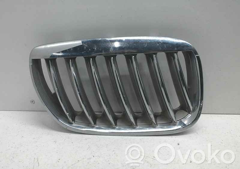 BMW X5 E53 Front grill 