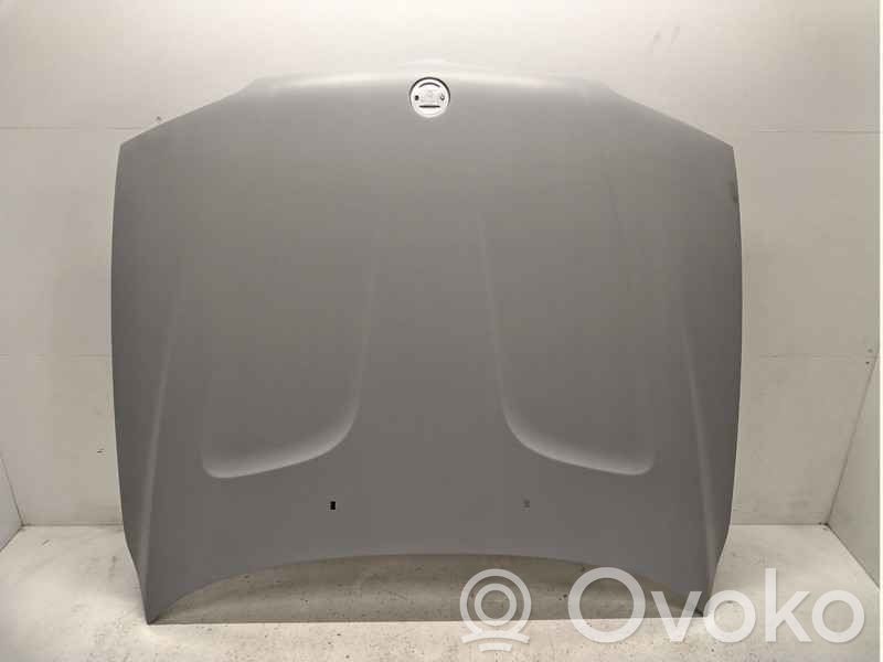 Engine bonnet/hood   41003449411,0005718,6169162,VDMS12