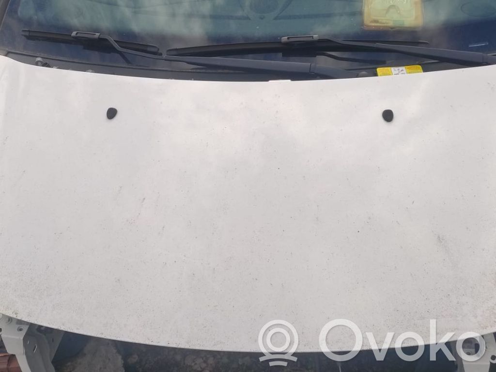 Dzinēja pārsegs (vāks)   7901R1,0008351,39763530,VDMS12