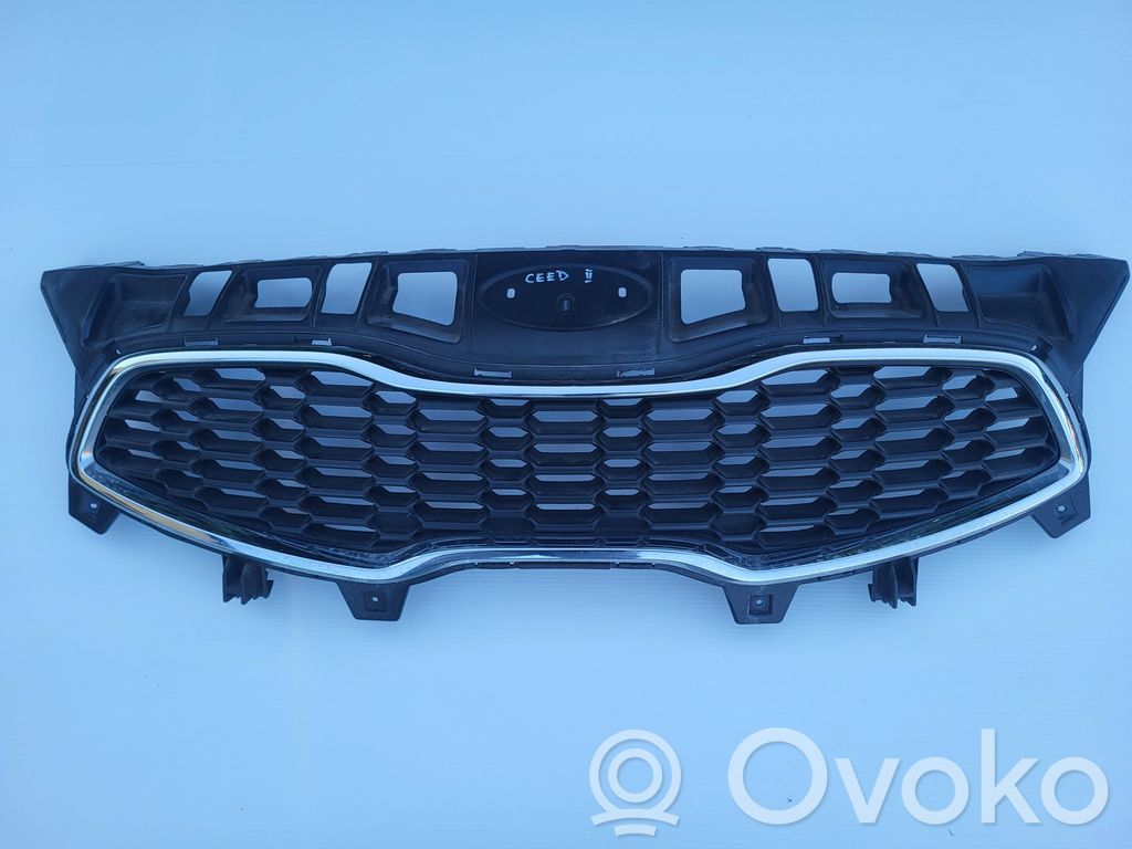 Front grill   86351A2000