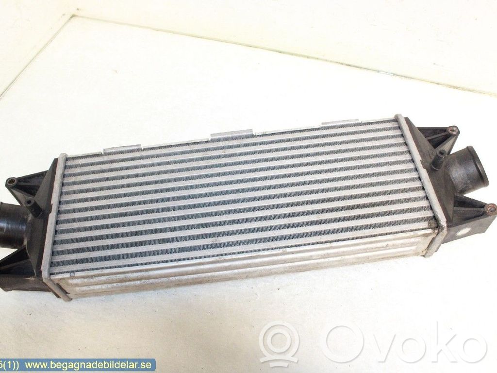 Starpdzesētāja radiators   504022617