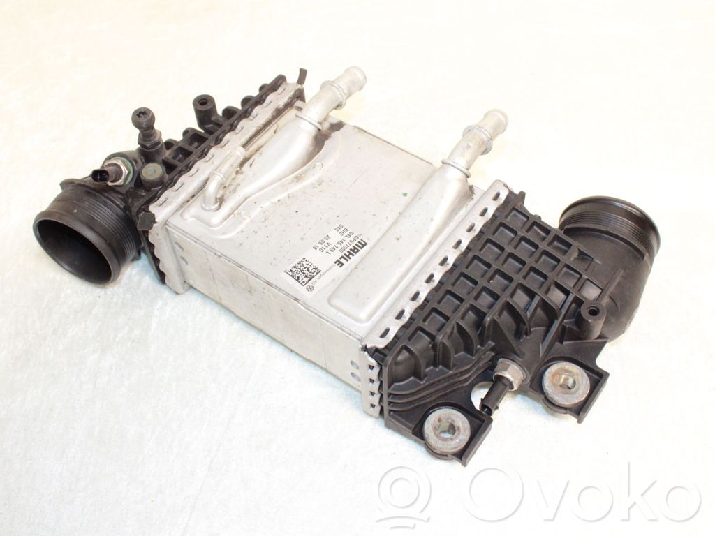 Volkswagen Transporter - Caravelle T6 Radiator intercooler 
