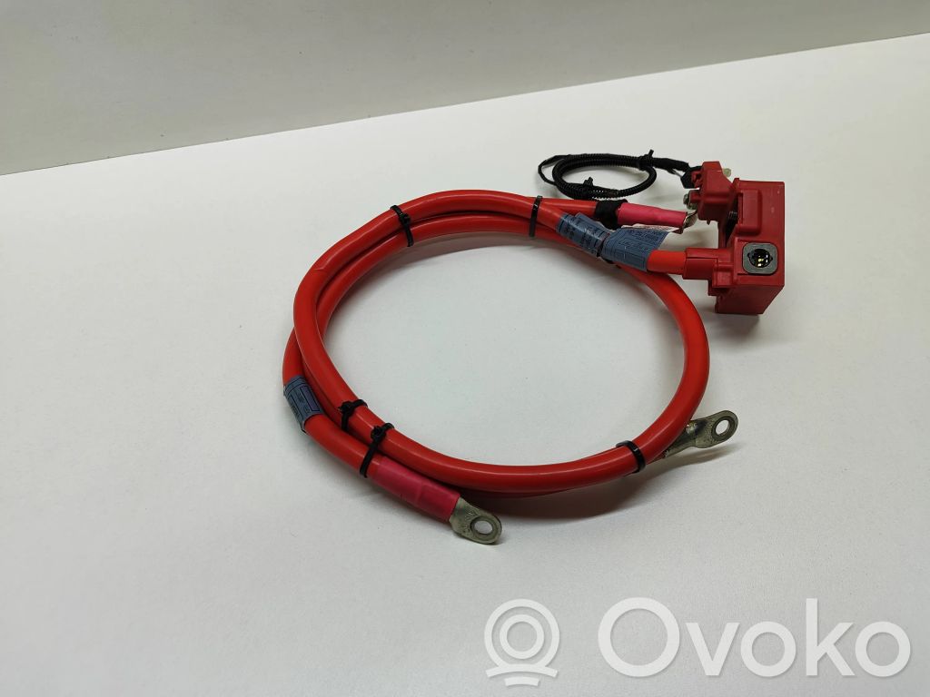 BMW 5 E60 E61 Plusa vads (akumulatora) 