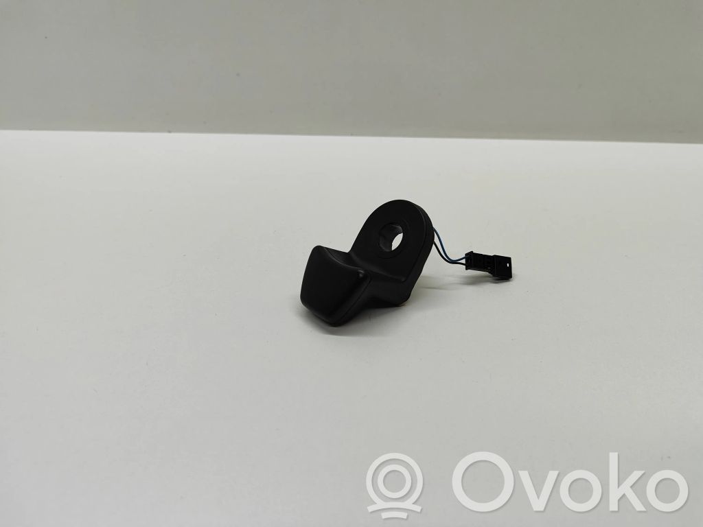 Tailgate glass/window release handle   9200673,59845510