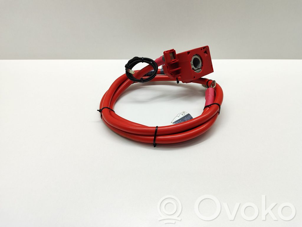 Pluskabel Batterie   6989781,6989782,10304410,698978202,9127767,9127768