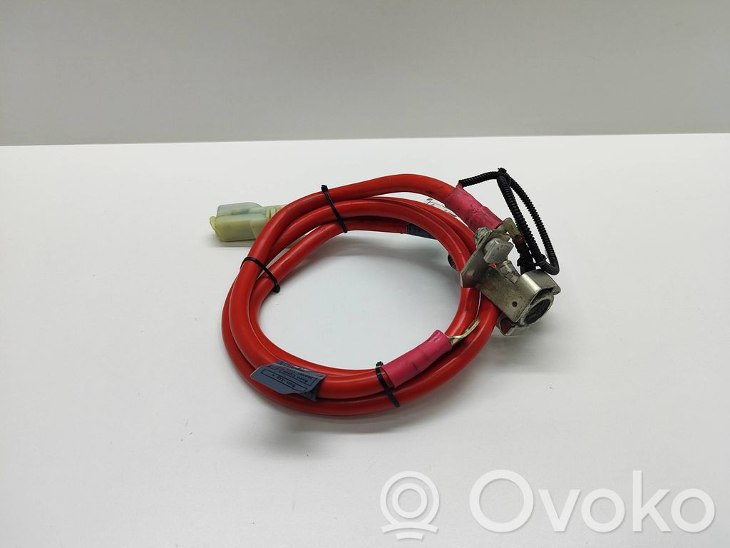 Positive cable (battery)   9127768,912776801,9127767,10304410