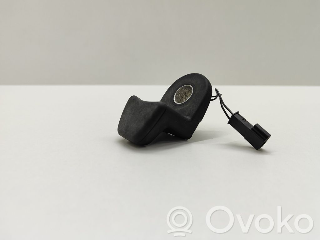 BMW 5 E60 E61 Tailgate glass/window release handle 