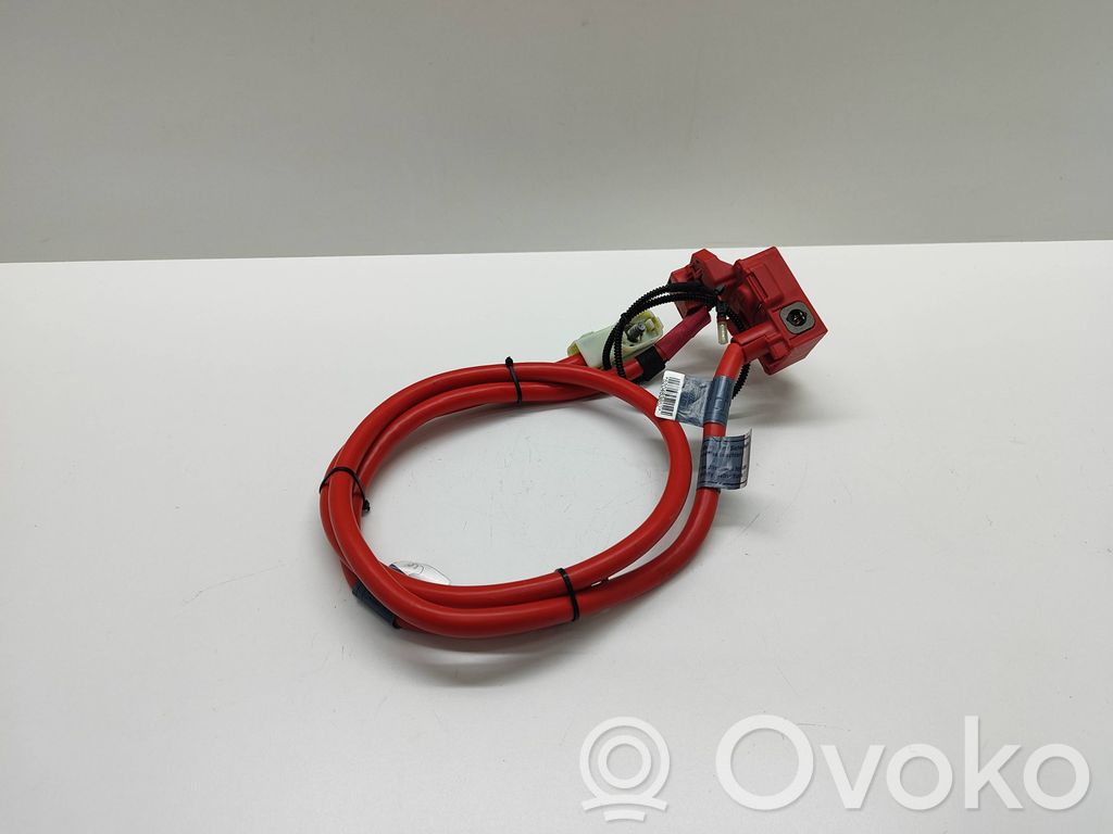 Cable positivo (batería)   6989782,698978202,6989781,10304410