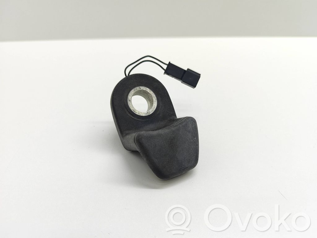 Tailgate glass/window release handle   8385694