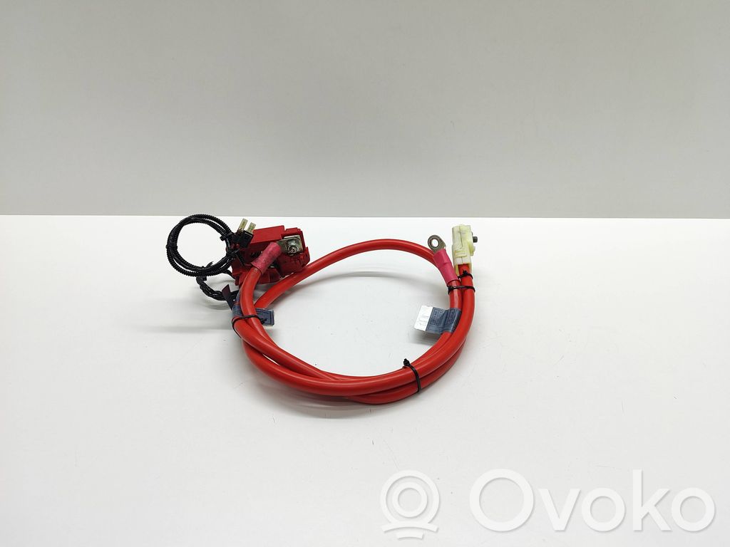 BMW 5 E60 E61 Pliusinis laidas (akumuliatoriaus) 