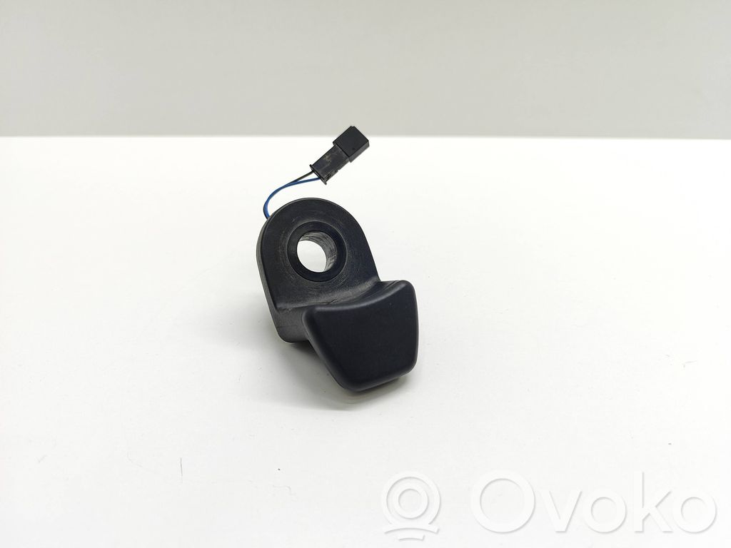 Tailgate glass/window release handle   9200673,59845510