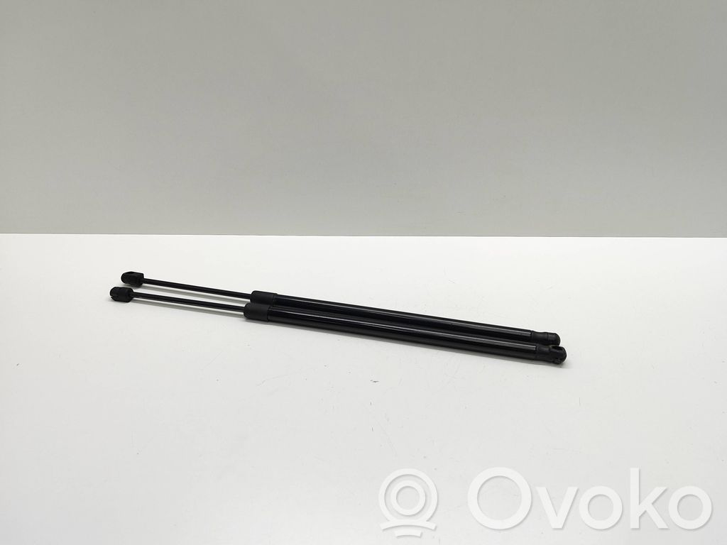 Tailgate/trunk strut/damper   042021,GS0001