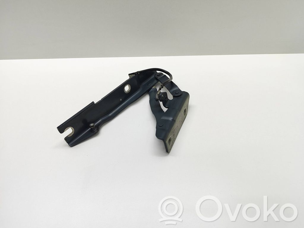 Scharnier Motorhaube   7008728,41617008728