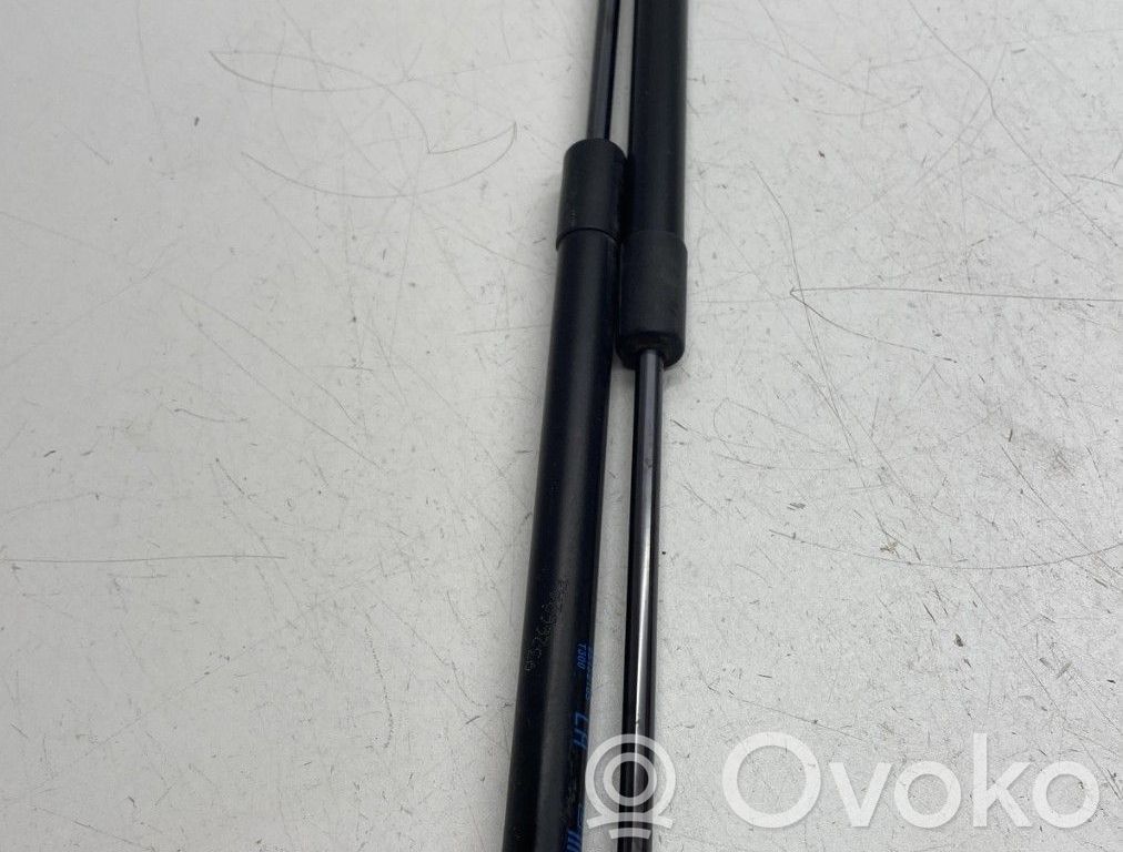Chevrolet Aveo Amortiguador/puntal del maletero/compartimento de carga 