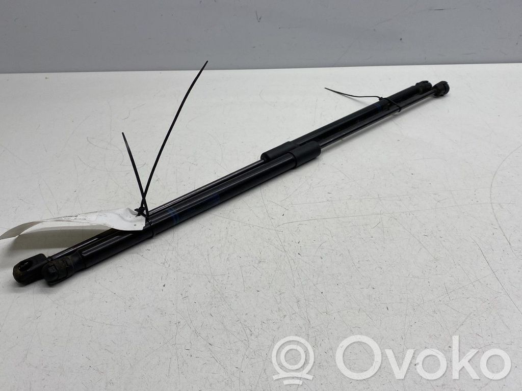Tailgate/trunk strut/damper   39089133