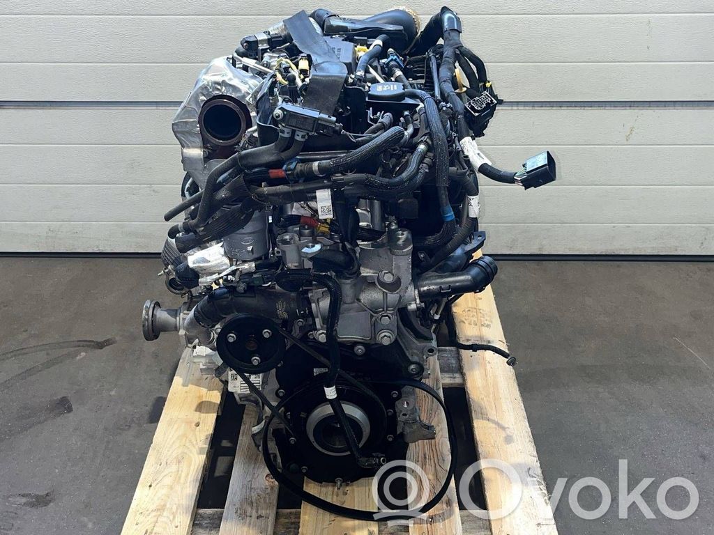Motor   204DTY