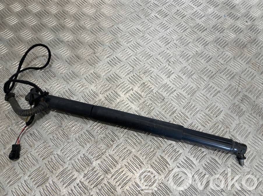 Tailgate/trunk strut/damper   4887653