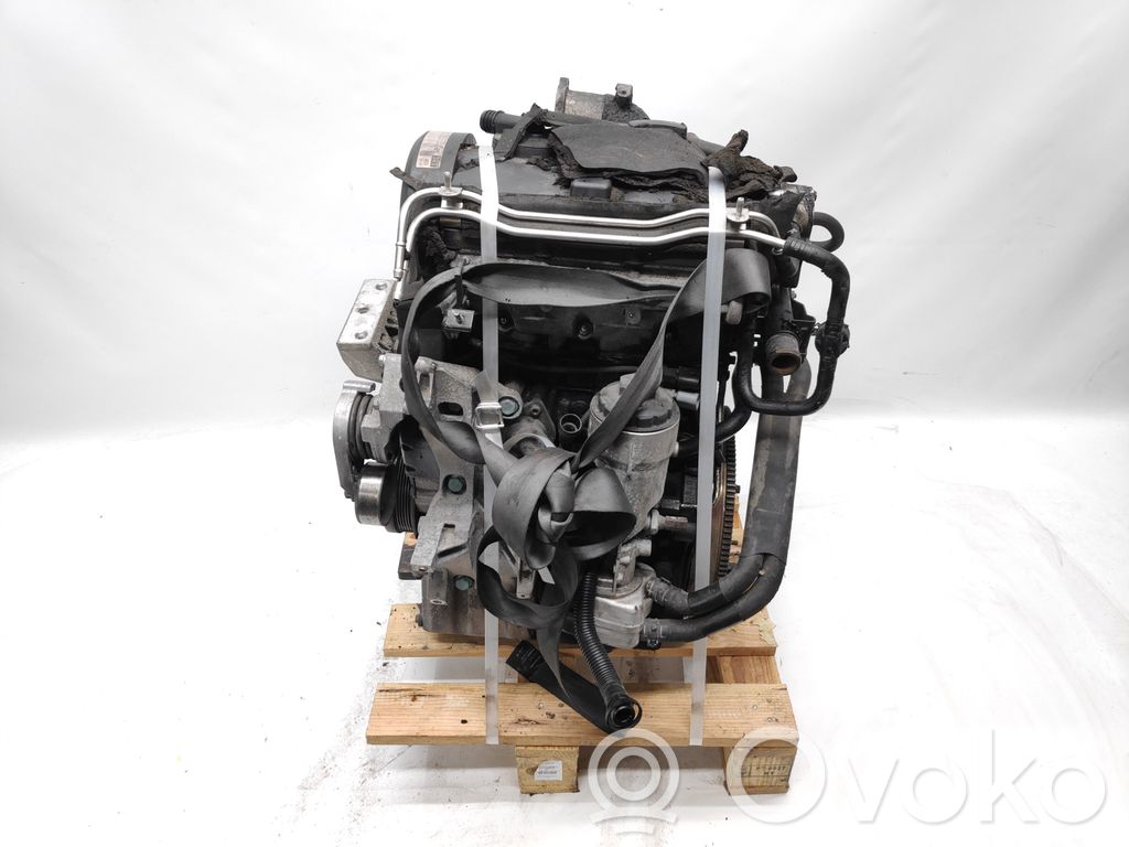 Motor   AMF