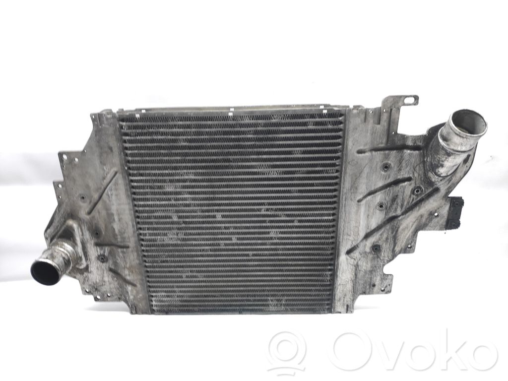 Intercooler radiator   8200252209