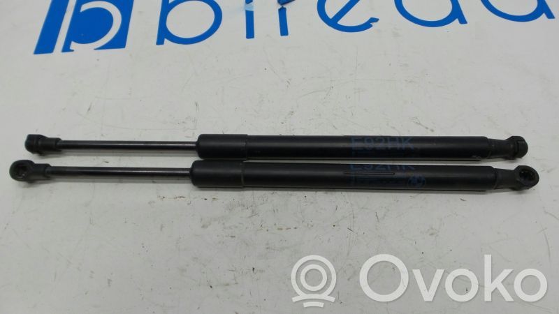 Amortizatorius galinio dangčio   51247129194,320N