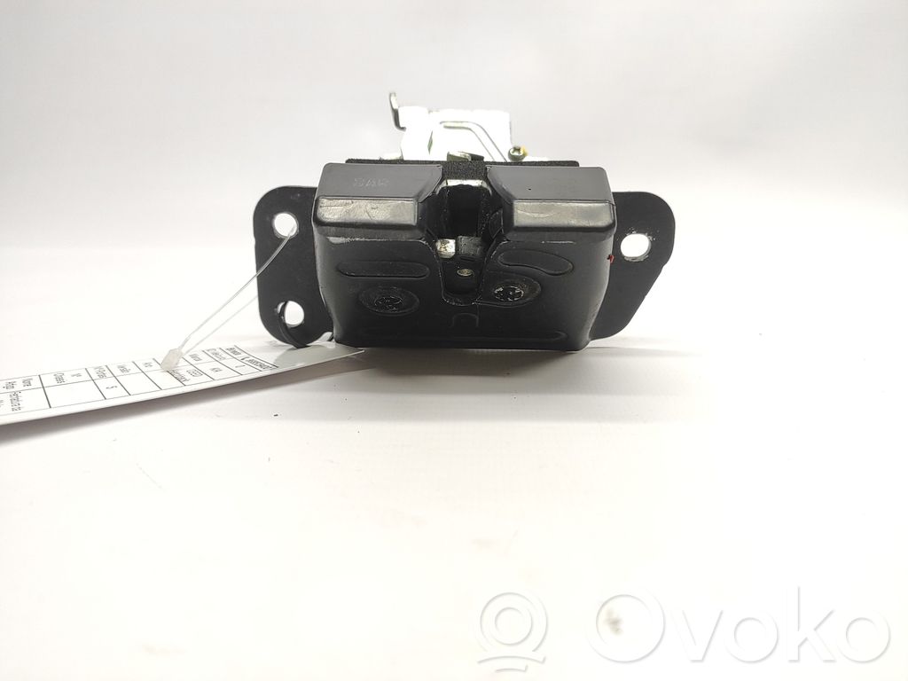 Tailgate exterior lock   812301H00