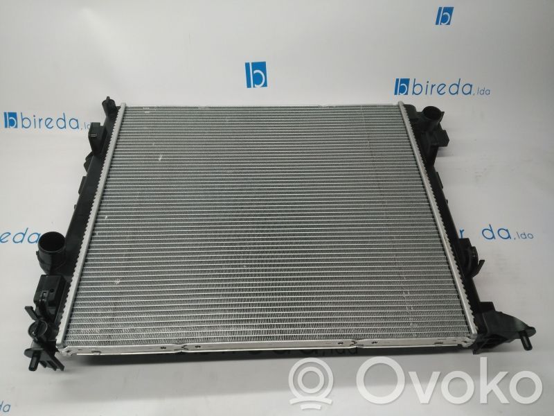 Aušinimo skysčio radiatorius   214104EB0B,214101809R,214104EB0B2,ARTIGONOVOORIGINAL