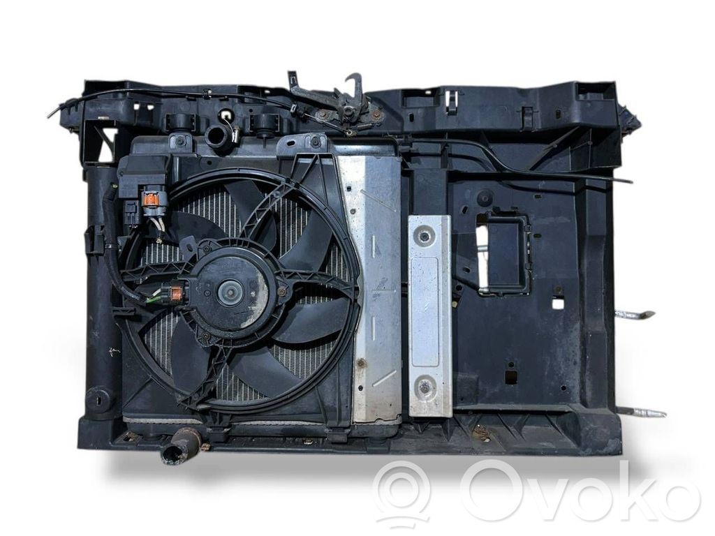 Radiator set   9683036480,95007T01,5H2673080,9662872380,9682902080,FS1576