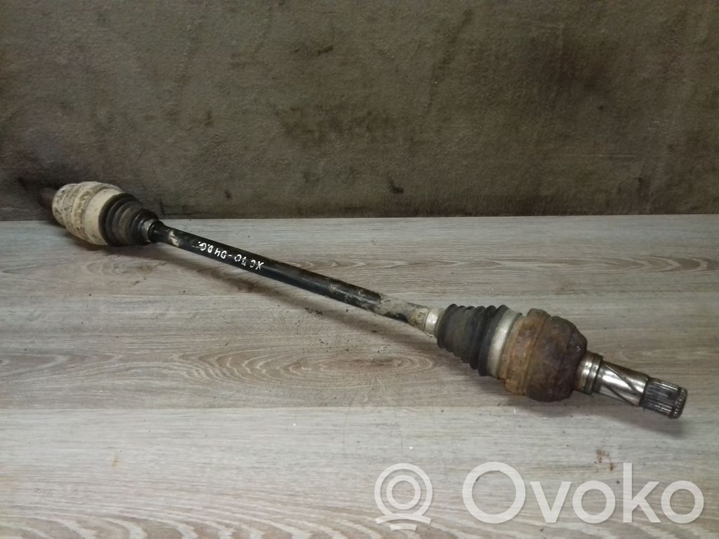 Galinis pusašis   T040301,P30651936