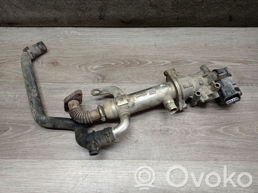 EGR dzesētājs   9645689750,875816W