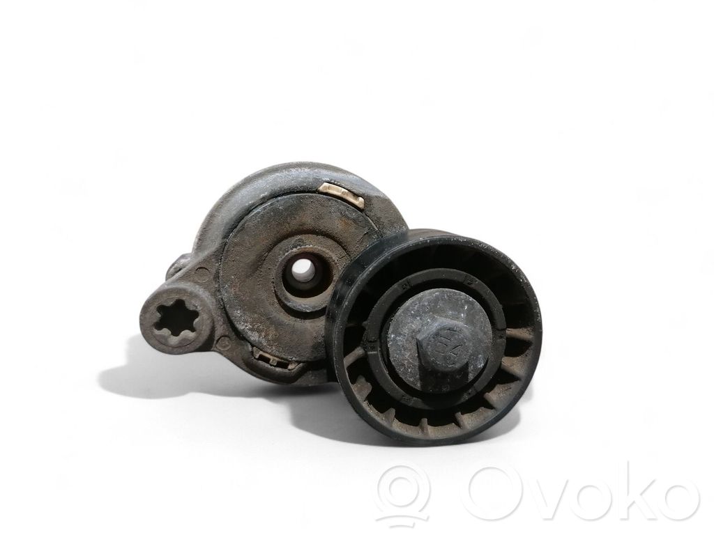 Napinacz paska wielorowkowego / Alternatora   TB300,TF155