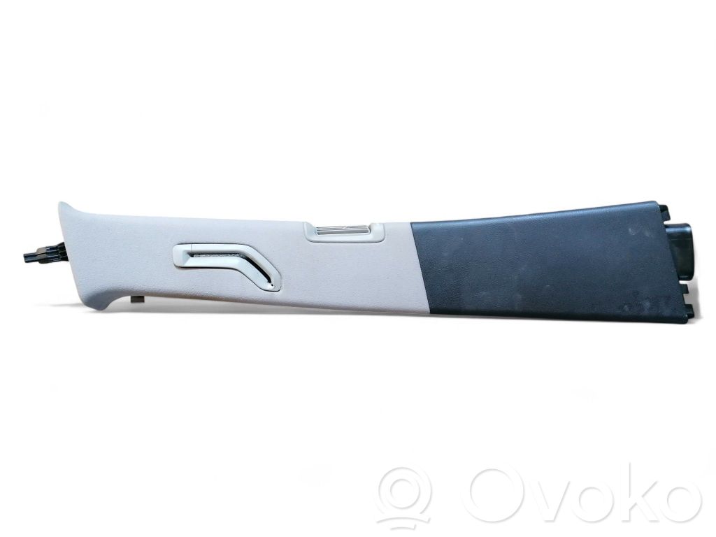 Pilar (B) (superior)