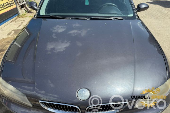 Engine bonnet/hood