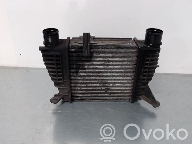 Intercooler radiator