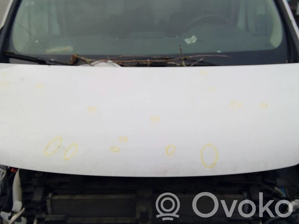 Fiat Talento Konepelti 