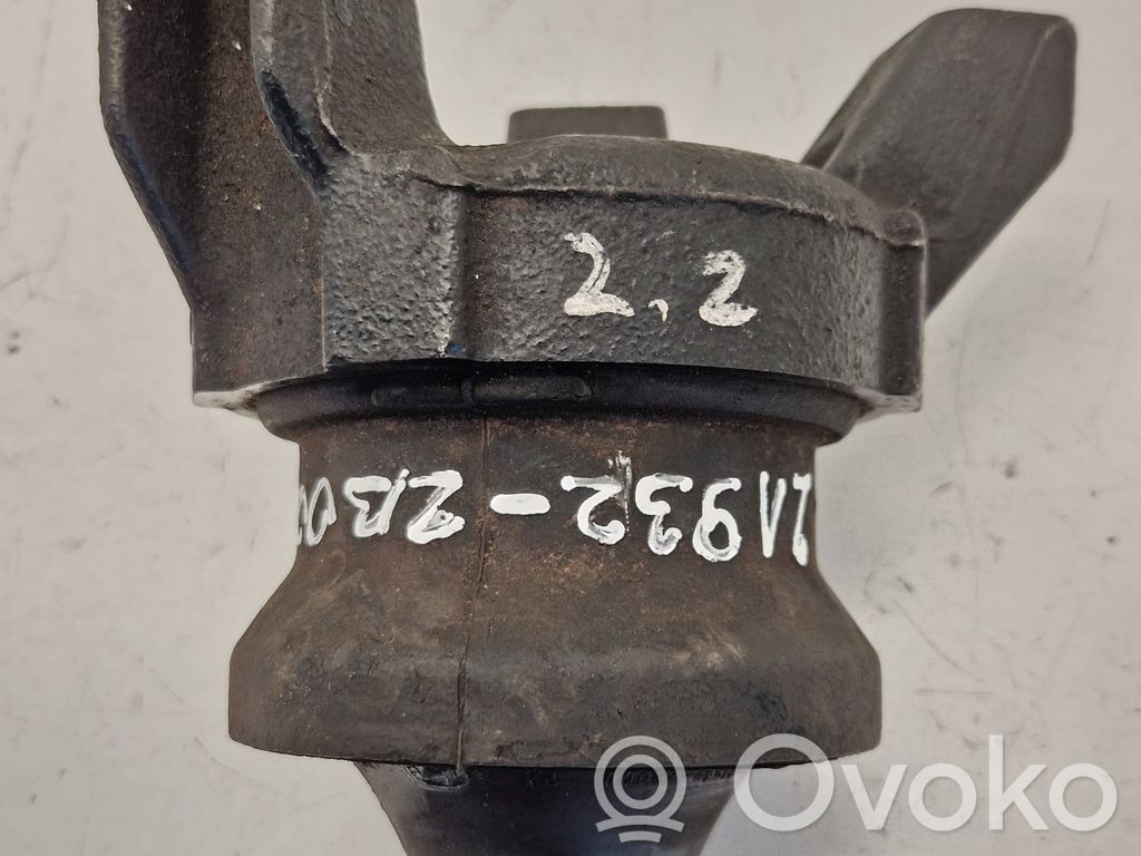 Engine mount bracket   219322B000